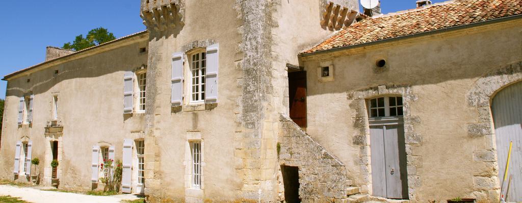 Chateau De La Combe Puyrenier Экстерьер фото